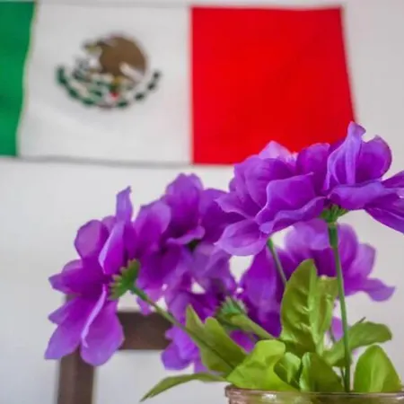 Cozy Mexican Home @ Best Location, Puerto Vallarta-2