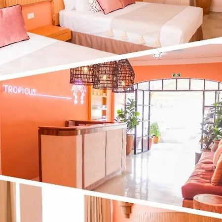 Hotel Tropicus Boutique-3