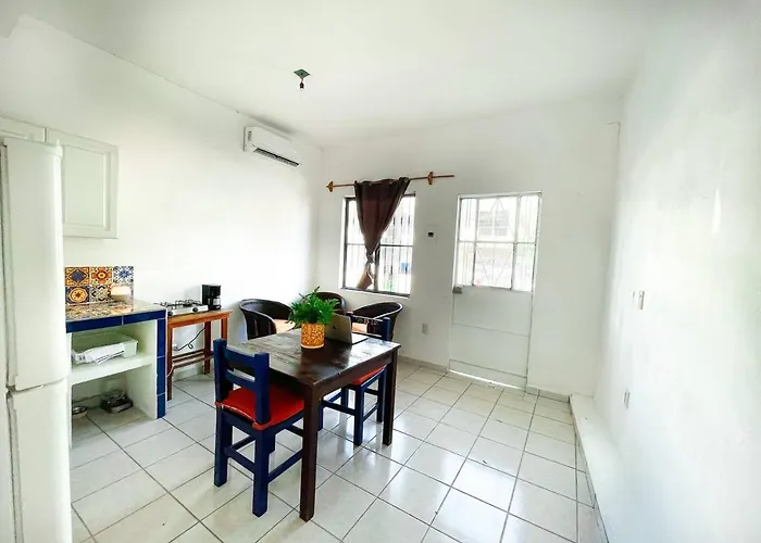 Lovely One Bedroom Apartment In Puerto Vallarta acceptant les animaux