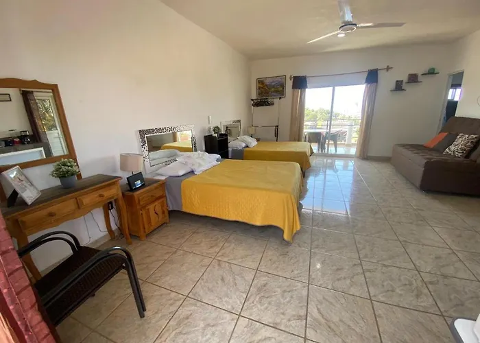Hermoso Departamento Ocean View En Puerto Vallarta acceptant les animaux