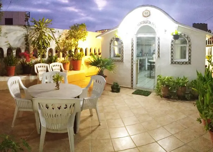 Alexandross Hostel Puerto Vallarta acceptant les animaux